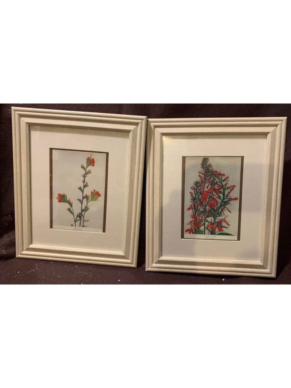 Set Framed Botanical Prints Red Wildflowers White Wood Frames Matted Borders